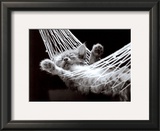 Buy Cat Nap II at AllPosters.com
