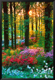 Buy Flower Forest at AllPosters.com