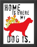 Home Is Where My Dog Is