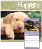 Puppies - 2013 Calendar