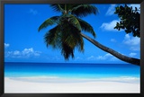Buy Seychelles at AllPosters.com