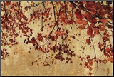 Colorful Season I