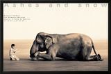 Boy Reading to Elephant, Mexico City Framed Art Print