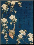 Goldfinch and Cherry Tree, c.1834