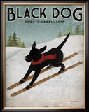 Black Dog Ski