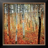 Forest of Beech Trees, c.1903 Framed Art Print