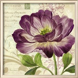 Study in Purple II