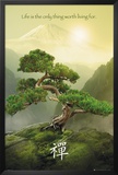 Zen-Mountain