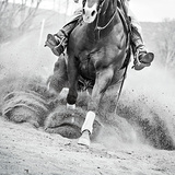 Reining In