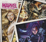 Women of Marvel - 2013 Wall Calendar Calendars