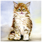 Buy Chaton Brun at AllPosters.com