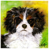Buy Chien Brun Blanc at AllPosters.com