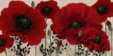 Buy Red Poppies at AllPosters.com