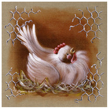 Poule Tete Haute