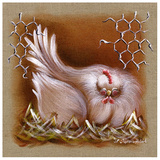 Poule Yeux Fermes