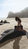The Beach