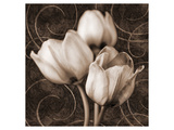 Buy Sepia Tulip I at AllPosters.com