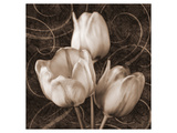 Buy Sepia Tulip II at AllPosters.com