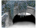 Buy Trefoil Winter at AllPosters.com