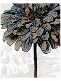 Buy Ink Zinnia II at AllPosters.com