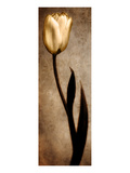 Buy Damask Tulip I at AllPosters.com