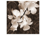 Buy Sepia Orchid I at AllPosters.com