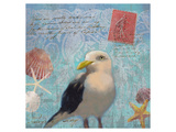 Buy Gull Beach I at AllPosters.com