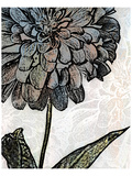Buy Ink Zinnia I at AllPosters.com