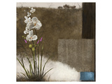 Buy Orchid III at AllPosters.com