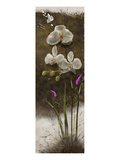 Buy Orchid I at AllPosters.com