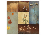 Buy Flowers N Fields at AllPosters.com
