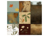Buy Fields and Trees at AllPosters.com