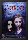 Ginger Snaps