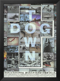 Dogtown and Z-Boys