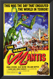 The Deadly Mantis
