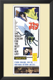 The Fly
