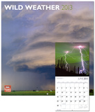 Wild Weather - 2013 Wall Calendar