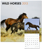 Wild Horses - 2013 Wall Calendar
