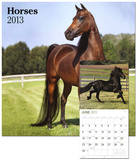 Horses - 2013 Wall Calendar