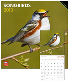 Songbirds - 2013 Wall Calendar