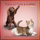 Yoga Kittens and Puppies - 2013 Mini Wall Calendar
