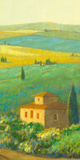 Tuscan Landscape II