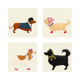City Dogs and Country Dogs