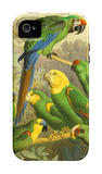 Tropical Birds I