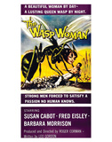 The Wasp Woman - 1959 I