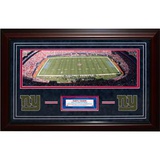 Giants Panoramic Turf Collage