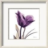 Royal Purple Parrot Tulip Framed Art Print
