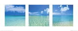 Tropical Infinity Triptych