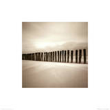 The Sentinels