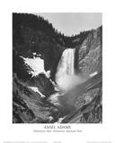 Yellowstone Falls Yellowstone National Park